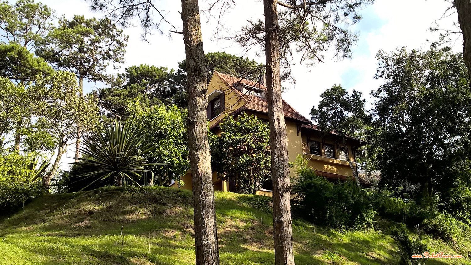 Đất Biệt thự, khu VIP đồi Huy Hoàng, view đẹp, gần trường Đại Học Đà Lạt, cách Hồ Xuân Hương, chợ Đà Lạt 3km, giá đầu tư.